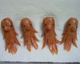A picture of step 7 of Character Bento : 2 Octopus with 1 Sausage.