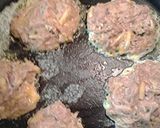 A picture of step 2 of Tuna patties II.