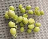 Foto del paso 2 de la receta: Crema de  Tirabeques