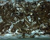 A picture of step 6 of Mocha Almond Chocolate Bark.