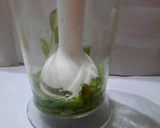 Foto del paso 4 de la receta: Pesto rápido con maní