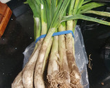 Foto del paso 1 de la receta: Calçots en tempura