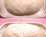 A picture of step 7 of Sublime Pain de Champagne.