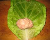 A picture of step 9 of Cabbage Rolls Simmered in Tomato Sauce.
