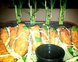 A picture of step 19 of Mike's Shrimp Spring Wraps.