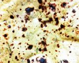 मिस्सी रोटी (Missi roti recipe in hindi) रेसिपी चरण 5 फोटो