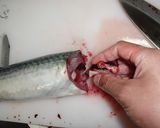 A picture of step 3 of How to fillet a fish (3-layer filleting) - For Mackerel.