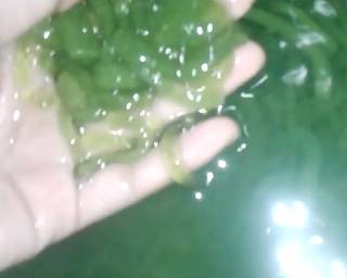 1.Cendol tepung kanji - Step 7