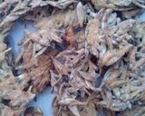 Foto del paso 6 de la receta: Tortitas de Charales