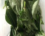 Foto langkah ke 1 dari resep Sayur Santan Daun Ubi + Ikan Teri Goreng (Ide Bekal Anak Kos).