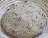 A picture of step 8 of Walnut & Raisin Pain de Campagne.