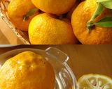 A picture of step 1 of After Making Yuzu Tea and Yuzu Jam, Make Yuzu Peel + Yuzu Vinegar.