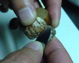 A picture of step 5 of Chestnut Rice.