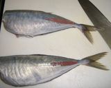 A picture of step 9 of Horse Mackerel Tartare.