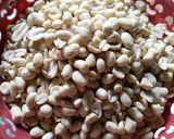 Foto langkah ke 1 dari resep Kacang Bawang.