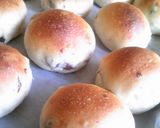 A picture of step 9 of Doubled Raisin Bread.