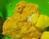Foto langkah ke 2 dari resep Donat Labu Kuning_ala2 Burger.