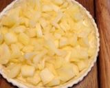 A picture of step 11 of Crispy Apple Pie!.