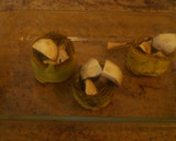 Foto del paso 2 de la receta: Alcachofas rellenas de champiñón