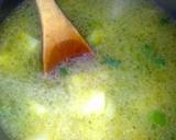 Sig's Cream of Spring & Onion(s) Soup recipe step 4 photo