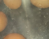Foto del paso 4 de la receta: Ensalada de frankfurt