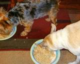 Mike's Healthy Dog Food recipe step 5 photo