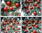 Ladybirds (Tomato) Ladybeetles recipe step 10 photo