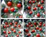 A picture of step 10 of Ladybirds (Tomato) Ladybeetles .