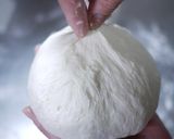 A picture of step 12 of Lys d'Or Pain de Campagne.
