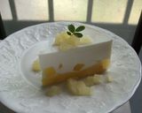 A picture of step 11 of No-Bake Cheesecake Style Yogurt Cake.