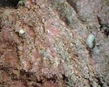 A picture of step 2 of Kibbeh.
