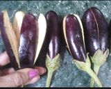 A picture of step 1 of Begun Bahaar (spicy Eggplant or Aubergine).