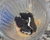 Foto del paso 4 de la receta: Postre oreo