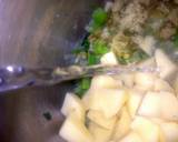 Sig's Cream of Spring & Onion(s) Soup recipe step 3 photo