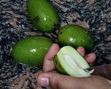 A picture of step 1 of Aam Panna 📌.