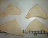 A picture of step 4 of Bamboo Shoot Shaped bread.