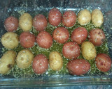 Foto del paso 5 de la receta: Patatitas al horno con romero