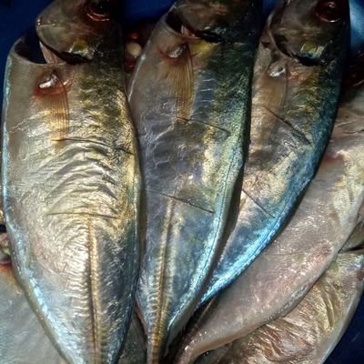 Langkah 1