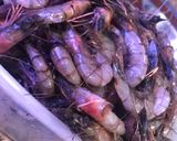 Foto del paso 1 de la receta: Camarones al Ajillo Rostizado