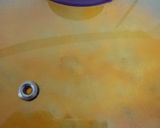 A picture of step 11 of Mustard Chicken.