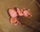 A picture of step 1 of Fluffy and Simple Salmon Flakes.