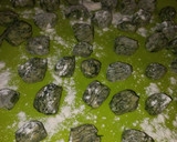 Foto del paso 4 de la receta: Ñoquis de espinaca 💪