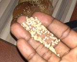 A picture of step 12 of Challa bread.
