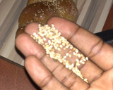 A picture of step 12 of Challa bread.