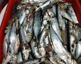 Foto langkah ke 1 dari resep Ikan teropong goreng kriuk.