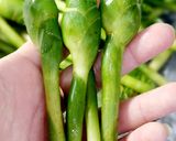 Hình bước làm 1 của món Gan heo chiên xào hoa gừng, giá đỗ và cà rốt