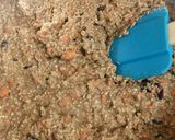 A picture of step 4 of Healthy Carrot Muffins with Molasses!.