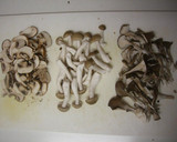 A picture of step 1 of Hayashi Rice (Hashed Beef Stew) With Lots of Mushrooms.