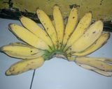 Foto langkah ke 1 dari resep Nugget pisang kekinian.