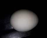 Foto del paso 2 de la receta: Ensalada Rusa